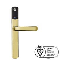 Conexis L1 Smart Lock Brass